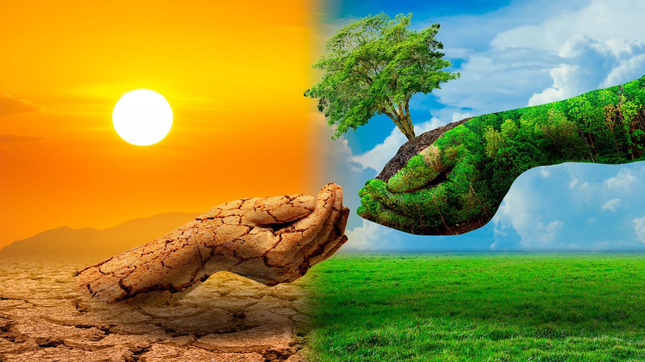 İstanbul'da tekstil atıkları çevreye ciddi zararlar verebilmektedir, ancak Ilıgın Tekstil bu atıkları toplamak, işlemek ve geri dönüştürmek için önemli bir rol oynamaktadır. Firma, atıkların çevre dostu bir şekilde geri dönüştürülmesini sağlayarak doğal kaynakları korumakta ve ekonomik faydalar yaratmaktadır.